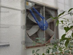 1#9399 Cessione del compendio aziendale dedito alle attività nel settore dei prodotti ortofrutticoli