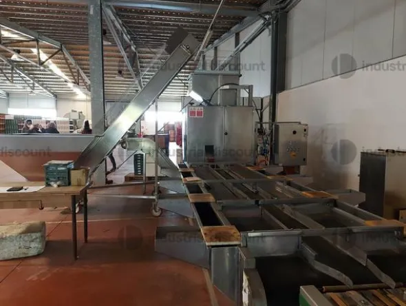 1#9399 Cessione del compendio aziendale dedito alle attività nel settore dei prodotti ortofrutticoli