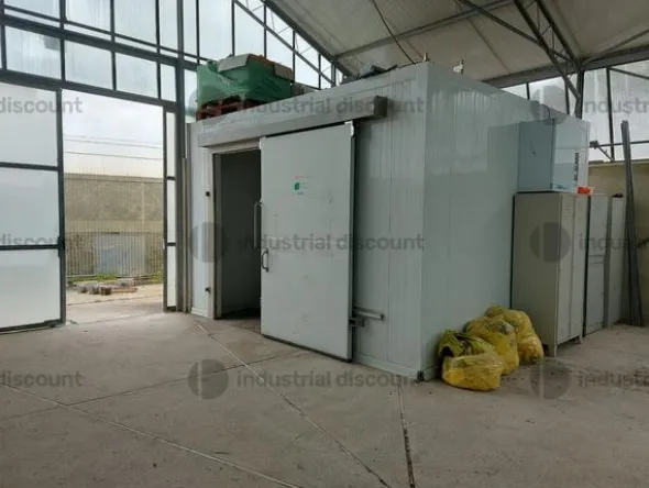 1#9399 Cessione del compendio aziendale dedito alle attività nel settore dei prodotti ortofrutticoli