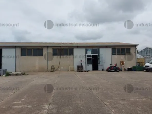 1#9399 Cessione del compendio aziendale dedito alle attività nel settore dei prodotti ortofrutticoli