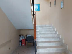 #2536973 Cessione del compendio aziendale dedito alle attività nel settore dei prodotti ortofrutticoli