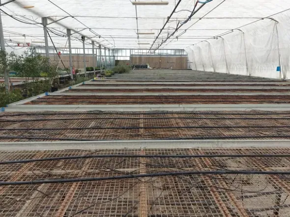 #2536973 Cessione del compendio aziendale dedito alle attività nel settore dei prodotti ortofrutticoli