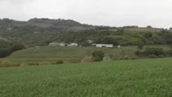 1#4909 Cessione di azienda agricola