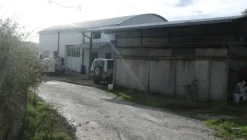 1#4909 Cessione di azienda agricola