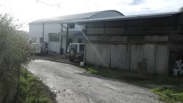 1#4909 Cessione di azienda agricola
