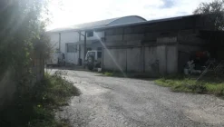 1#4909 Cessione di azienda agricola