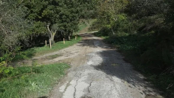 1#4909 Cessione di azienda agricola