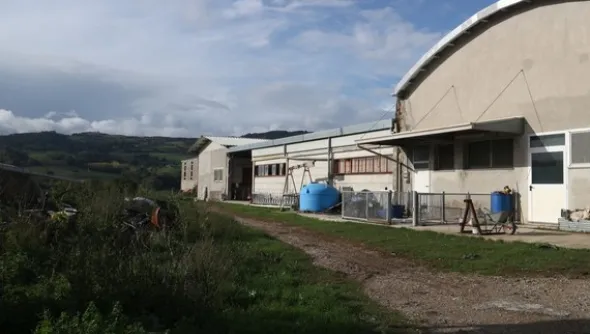 1#4909 Cessione di azienda agricola