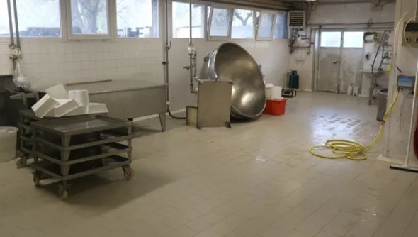 1#4909 Cessione di azienda agricola