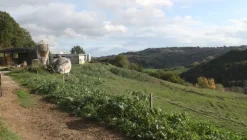 1#4909 Cessione di azienda agricola