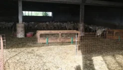 1#4909 Cessione di azienda agricola