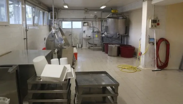 1#4909 Cessione di azienda agricola
