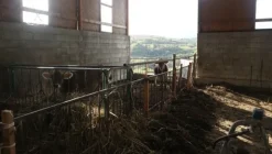1#4909 Cessione di azienda agricola