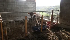 1#4909 Cessione di azienda agricola