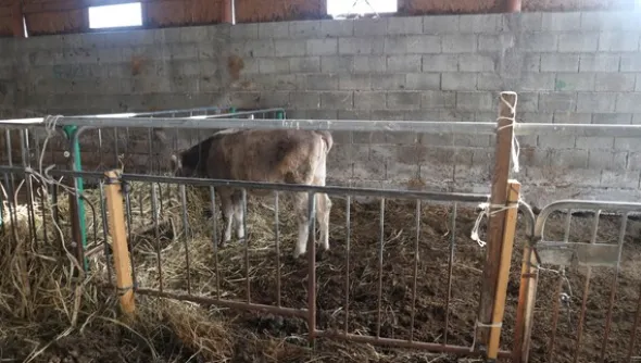1#4909 Cessione di azienda agricola