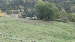 1#4909 Cessione di azienda agricola