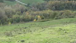 1#4909 Cessione di azienda agricola