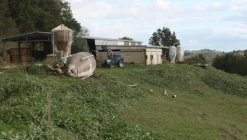 1#4909 Cessione di azienda agricola