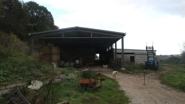 1#4909 Cessione di azienda agricola
