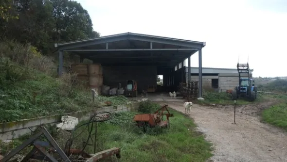 1#4909 Cessione di azienda agricola