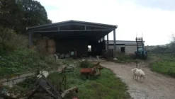 1#4909 Cessione di azienda agricola
