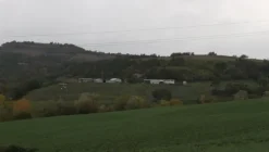 1#4909 Cessione di azienda agricola