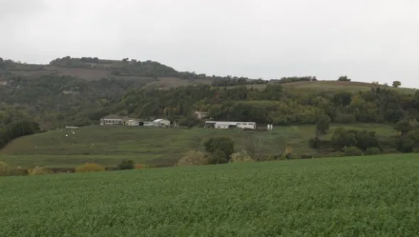 1#4909 Cessione di azienda agricola