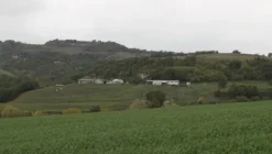 1#4909 Cessione di azienda agricola