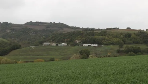 1#4909 Cessione di azienda agricola