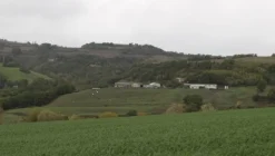 1#4909 Cessione di azienda agricola