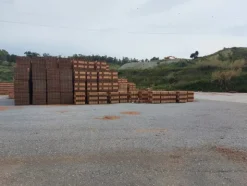 1#6101 Cessione di azienda dedita alla produzione di laterizi