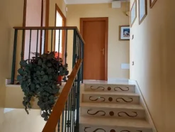 1#5942 Cessione di azienda dedita alla vendita di marmi e pietre