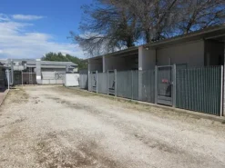#18948 Cessione di azienda dedita a produzione radiofarmaci