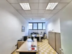 #2536298 Cessione di contratti di leasing immobiliare di capannoni produttivi