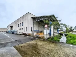 #2536298 Cessione di contratti di leasing immobiliare di capannoni produttivi