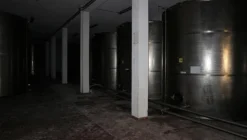 1#5050 Cessione di oleificio Venturi Spa