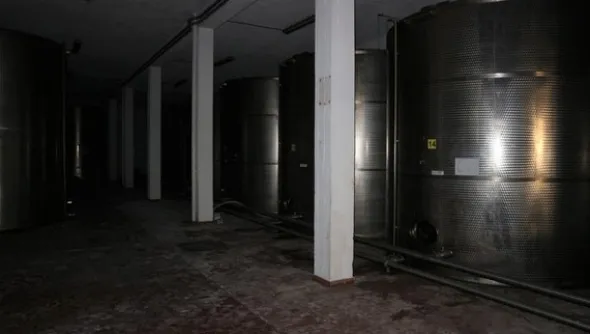 1#5050 Cessione di oleificio Venturi Spa