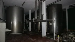 1#5050 Cessione di oleificio Venturi Spa