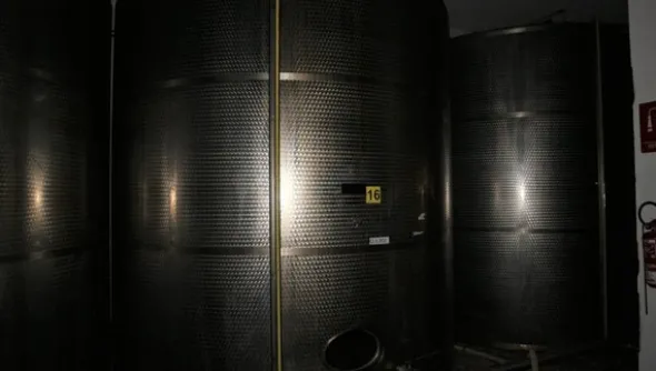 1#5050 Cessione di oleificio Venturi Spa