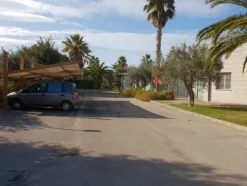 1#5056 Cessione di ramo di azienda dedita ad attività di locazione abitativa e di residence