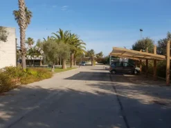 1#5056 Cessione di ramo di azienda dedita ad attività di locazione abitativa e di residence