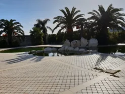 1#5056 Cessione di ramo di azienda dedita ad attività di locazione abitativa e di residence