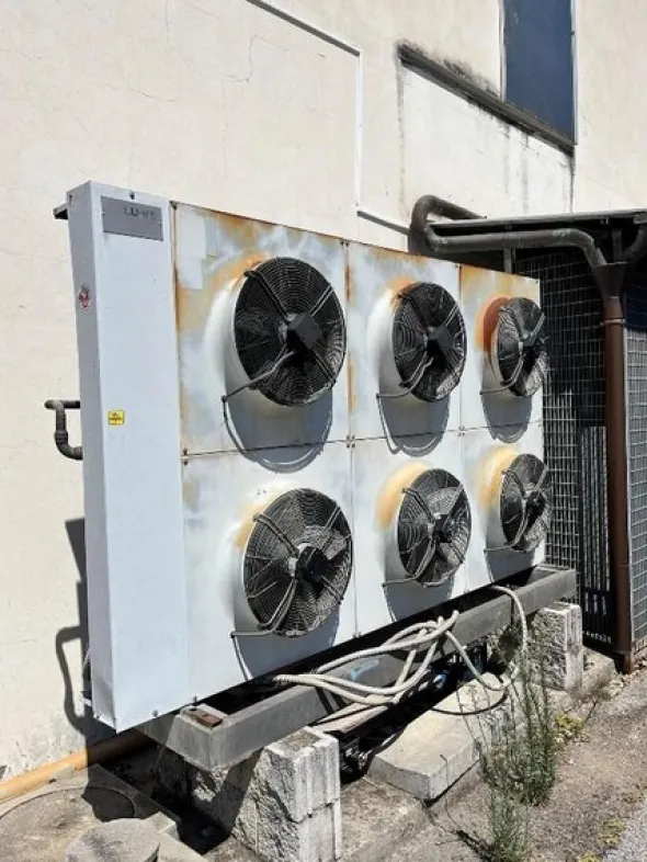 1#7741 Compendio di azienda dedita alla macellazione e al commercio all'ingrosso di bestiame