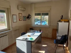 #11162 Compendio di 3 capannoni (A-B-C) con uffici e terreni attigui