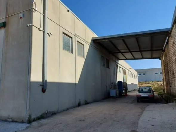 #11162 Compendio di 3 capannoni (A-B-C) con uffici e terreni attigui