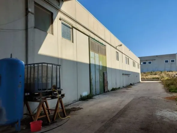 #11162 Compendio di 3 capannoni (A-B-C) con uffici e terreni attigui