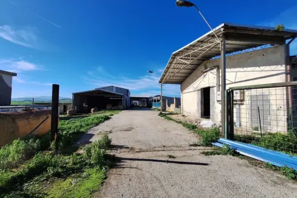 #25198 Compendio industriale zootecnico comprensivo di impianti