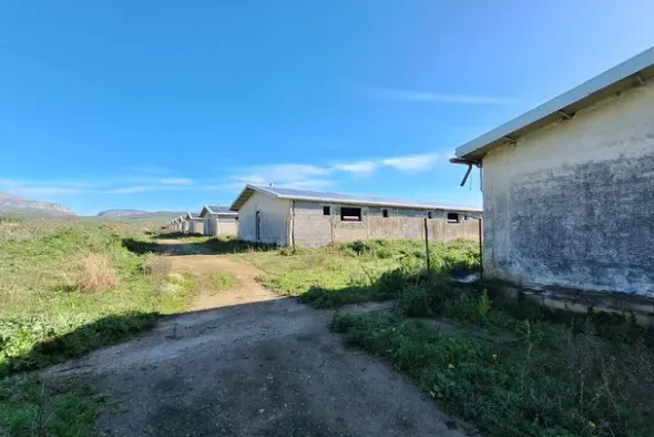 #25198 Compendio industriale zootecnico comprensivo di impianti