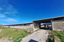 #25198 Compendio industriale zootecnico comprensivo di impianti