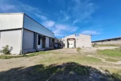 #25198 Compendio industriale zootecnico comprensivo di impianti